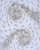Riccardo Gusmaroli, Vortex book