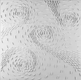 Riccardo Gusmaroli, Vortice Bianco