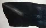 Paul Jenkins, Phenomena 100 Marine