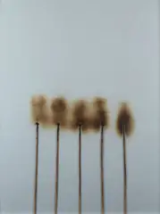 Fire Drawing by Bernard Aubertin, 1974, On the back: Galleria Centro, offered Dec 2024