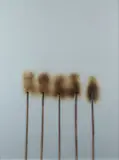 Bernard Aubertin, Fire Drawing, 1974, On the back: Galleria Centro