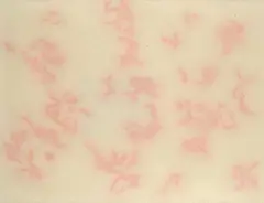 Constellation by (Edoarda Maino) Dadamaino, 1983, On the back: signature, offered Dec 2024