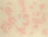 (Edoarda Maino) Dadamaino, Constellation
