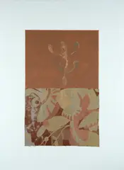 Curiosity and the fascination of natural history by James Brown, 1990, offered Oct 2024