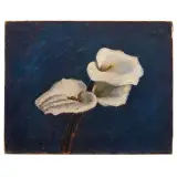 Oscar Ghiglia, Calla Lily On A Blue Background, oil on canvas