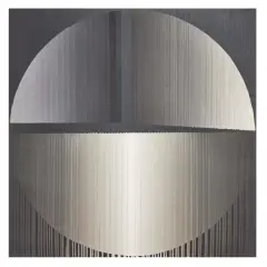 Leopoldo Torres Agüero, Untitled 1980