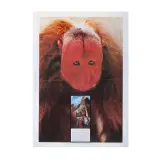 Adoldo Natalini Superstudio, Superstudio, Superstudio «CERIMONIA (IL GRANDE PELLEGRINAGGIO)» LITHOGRAPH ON PAPER