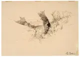 Landscape by Giovanni Fattori, pen and brown ink, offered Nov 2025