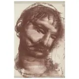 Pietro Annigoni, Male Head, mixed media