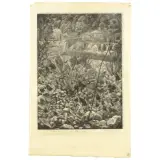 Wilhelm Heise, Flowers, pair of etchings