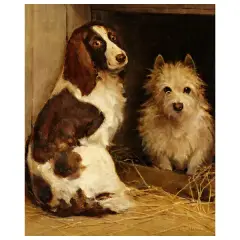 Samuel Fulton, Dogs, oil on canvas