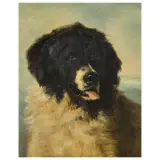 Arturo Faldi, Portrait Of A Dog, oil on canvas