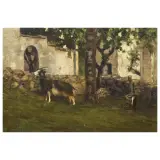 Francesco Filippini, Goat, oil on cardboard