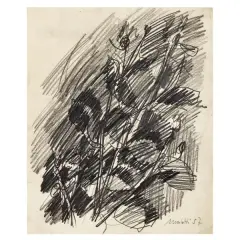 Vegetazione 1957 by Ennio Morlotti, pencil on paper, offered Sep 2025