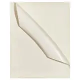 Antonio Baccarini, Antonio Baccarin, ANTONIO BACCARIN (Cavarzere