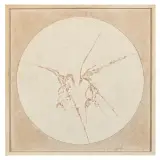 Elio Marchegiani, Solare 1980