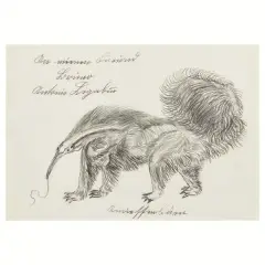Untitled by Antonio Ligabue, offered Jun 2025