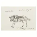 Antonio Ligabue, Gnu III period (1952-1962) [1955]