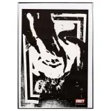 Shepard Fairey, Ripped 2001