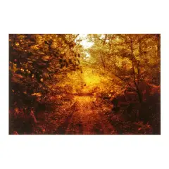 Tredici ottobre 2011 by Riccardo Bagnoli, photographic print, offered Apr 2025