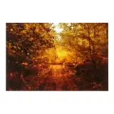Riccardo Bagnoli, Tredici ottobre 2011, photographic print