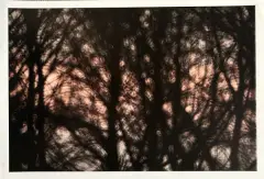 Sedici 2012 by Riccardo Bagnoli, photographic stamp, offered Apr 2025