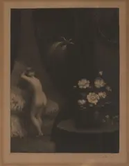 Max Švabinský, White Camellia, 1912, mezzotint, paper