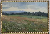 Jaroslav Panuška, Flowering Meadow