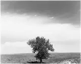 Robert Adams, Pawnee National Grassland, Colorado