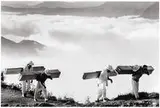 Sebastião Salgado, Wood Delivery Men, Eastern Sierra Madre, Mexico