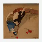 Carl Moser, White-Spotted Peacock, 1927, woodcut in colors on Japon paper