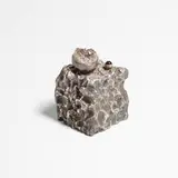 John Prip, lidded box