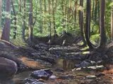 David Zimmerman, Zachary Taylor Run: Summer, Oil on canvas
