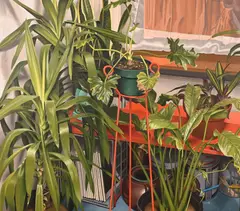 Nancy Hagin, Jungle #1, Acrylic on canvas