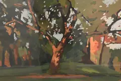 Jane Fisher, Big Tree, 1985, Oil on paper