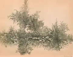 Gabor Peterdi, Landscape, Drypoint etching