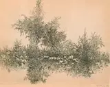 Gabor Peterdi, Landscape