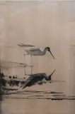 Frank Weston Benson, Lone Yellow Legs, Drypoint etching