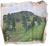 Frank DuMond, Rose's Farm with Rollings Hills and Evergreen Trees, Oil on loose canvas