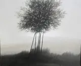 Robert Kipniss, Vista With Six Trees, 2000, Oil on canvas