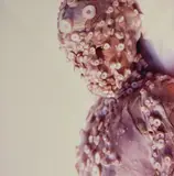 Robert Gligorov, Okto, 1998, cibachrome on alluminio
