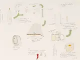 Gianfranco Baruchello, In store 097, 1989, pencil and smalti industriali on paper
