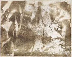 Pino Pascali, Muffe, 1961, mixed media on paper velina and card