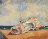 Filippo de Pisis, Natura morta marina con conchiglie, 1928, oil on canvas