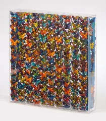 Marcello Lo Giudice, Farfalle, 2008, Farfalle di ceramica in teca di plexiglass