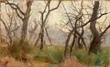 Eugenio Cecconi, Bosco, oil on cardboard