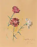 Fiori by Valentino Ghiglia, 1951, watercolour on paper applicata on cardboard, offered Apr 2025