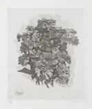 Giorgio Morandi, Gruppo di zinnie, 1931, etching on zinco