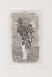 Giorgio Morandi, Fiori in un vasetto bianco, 1928, etching