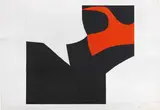 Alberto Burri, Progetto Grafico